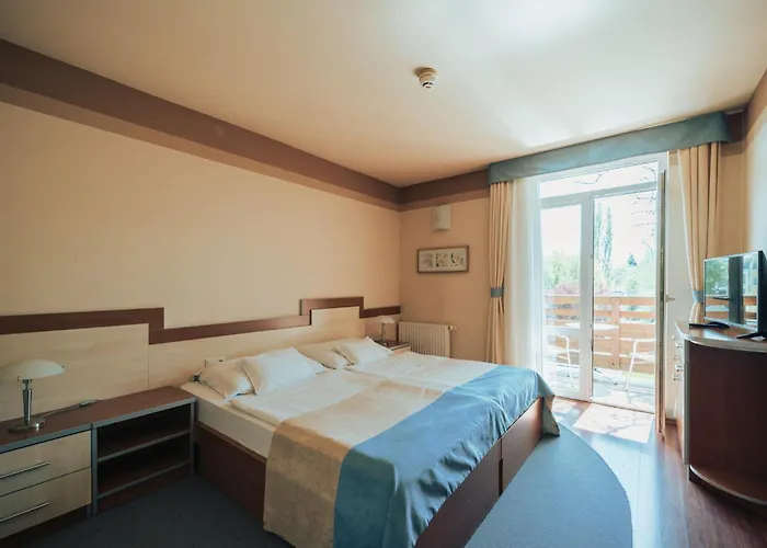 多罗缇亚别墅酒店 3* Balatonföldvár
